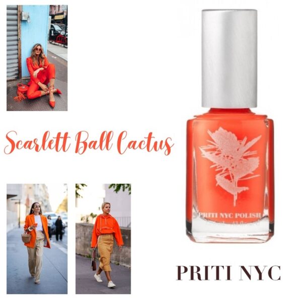 PRITI NYC - N°425 - Scarlett Ball Cactus - PRITI NYC