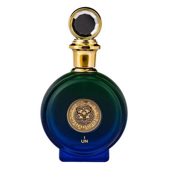Paris Corner - North Stag Expressions I Eau de Parfum - 100 ml - paris corner