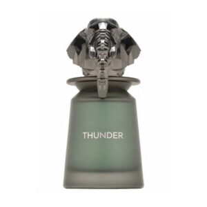 French Avenue - Thunder Eau de Parfum - 100 ml - french avenue