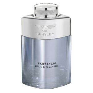 Bentley - Silver Lake Eau de Parfum - 100 ml - bentley