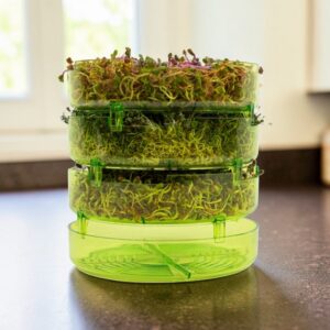 GEO GREENS - 4-lags Spiretårn til frø - GEO GREENS